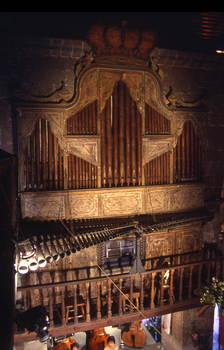 organ8.jpg